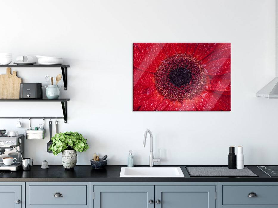 Pixxprint Wassertropfen auf roter Blüte, Glasbild Outlet