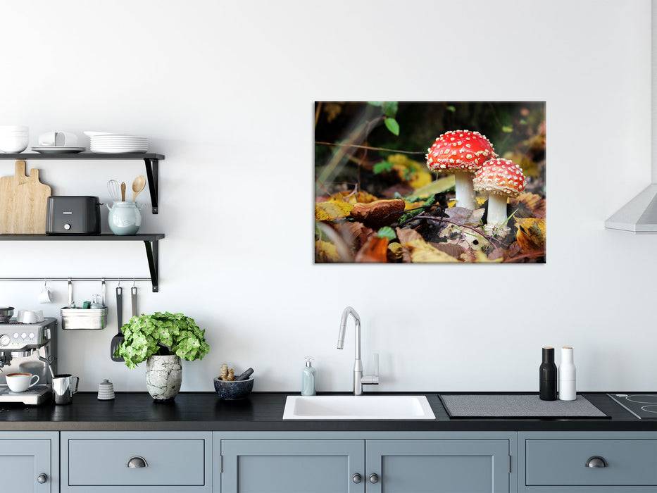 Pixxprint Pilz im Wald, Glasbild Hotsell