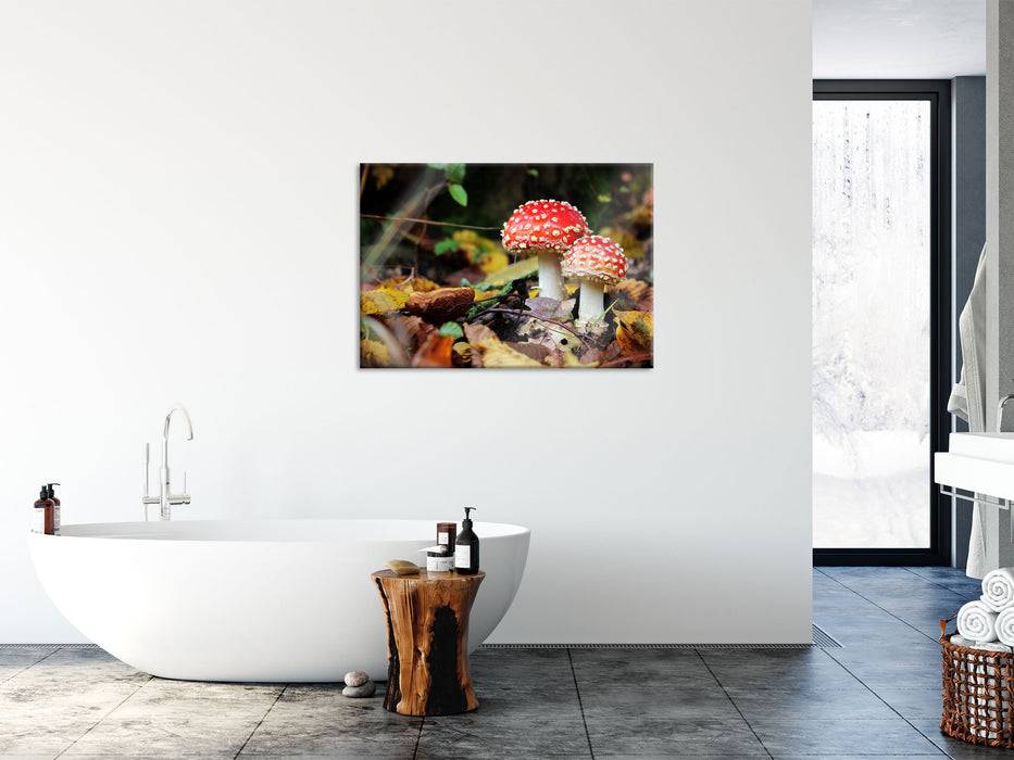 Pixxprint Pilz im Wald, Glasbild Hotsell