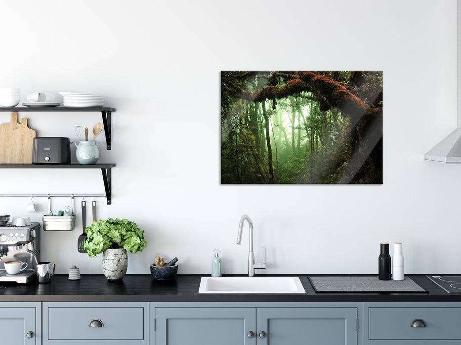 Pixxprint Geheimnisvoller Regenwald, Glasbild Fabrikverkauf