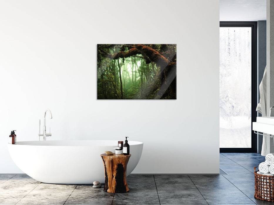 Pixxprint Geheimnisvoller Regenwald, Glasbild Fabrikverkauf