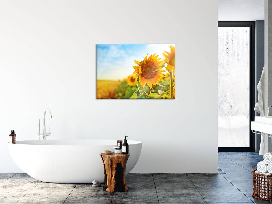 Pixxprint Strahlendes Sonnenblumenfeld, Glasbild Meist gekauft