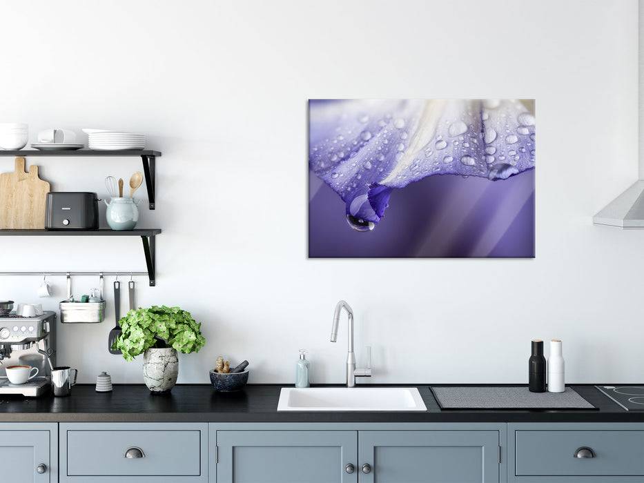 Pixxprint Lila Blüte mit Tropfen, Glasbild Fabrik Onlineshop