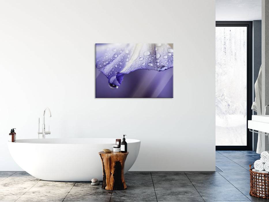 Pixxprint Lila Blüte mit Tropfen, Glasbild Fabrik Onlineshop