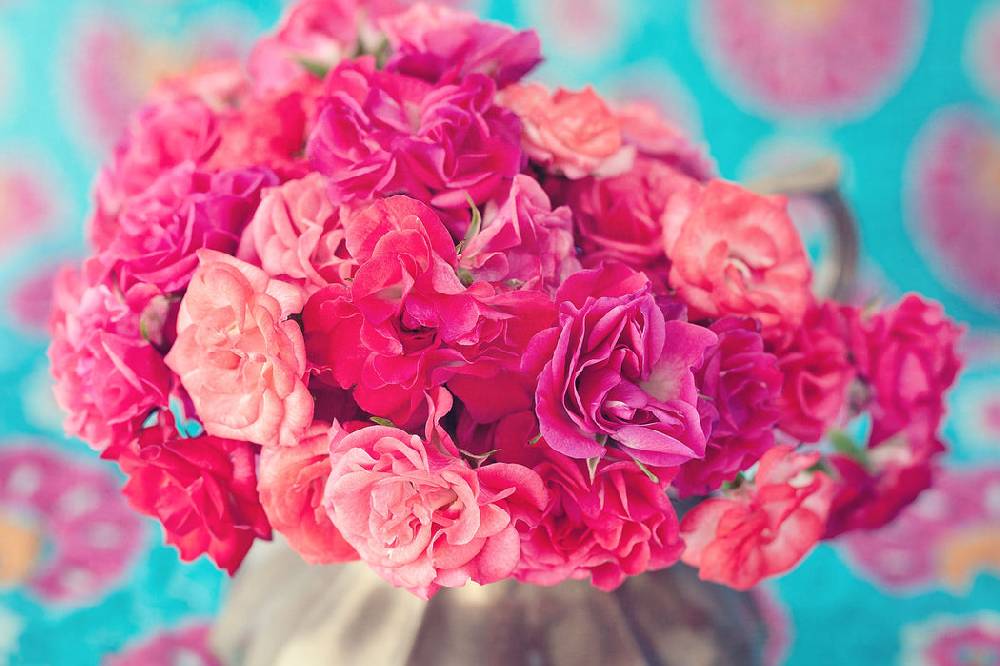 Pixxprint Blumen, Glasbild Fabrikpreis