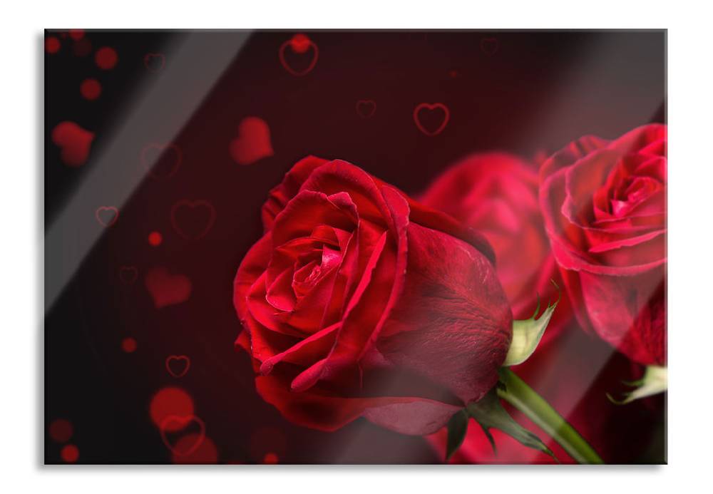 Pixxprint Rosen, Glasbild