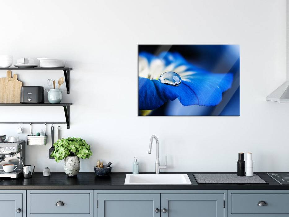 Pixxprint Wassertropfen auf blauer Blüte, Glasbild Großer Ausverkauf