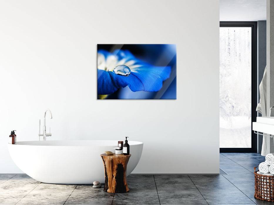 Pixxprint Wassertropfen auf blauer Blüte, Glasbild Großer Ausverkauf
