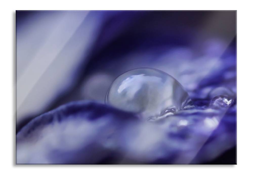 Pixxprint Nahaufnahme lila Wassertropfen, Glasbild