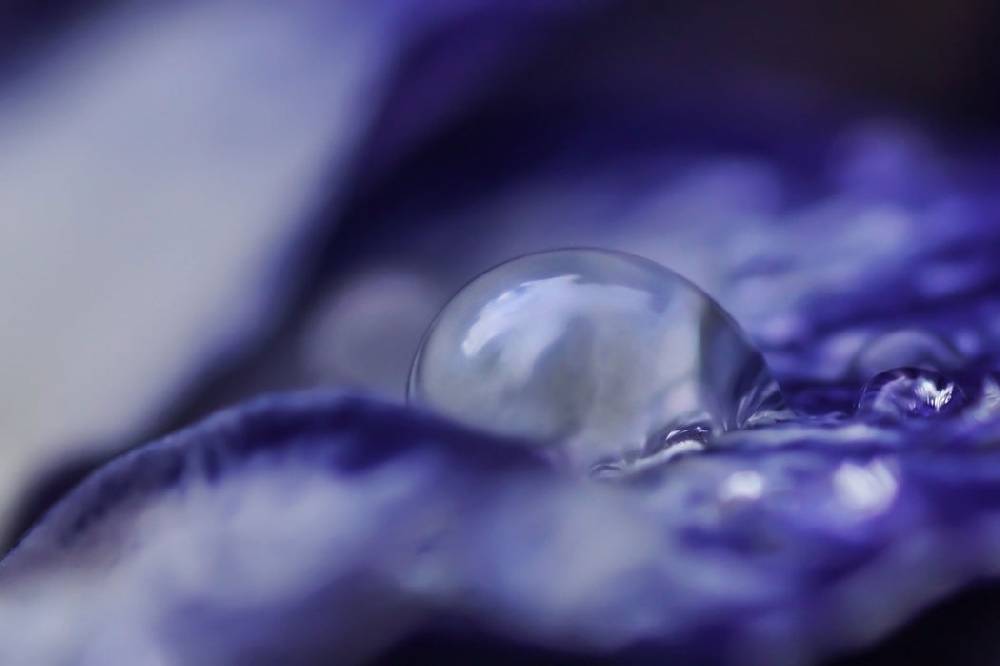 Pixxprint Nahaufnahme lila Wassertropfen, Glasbild Flash Sale