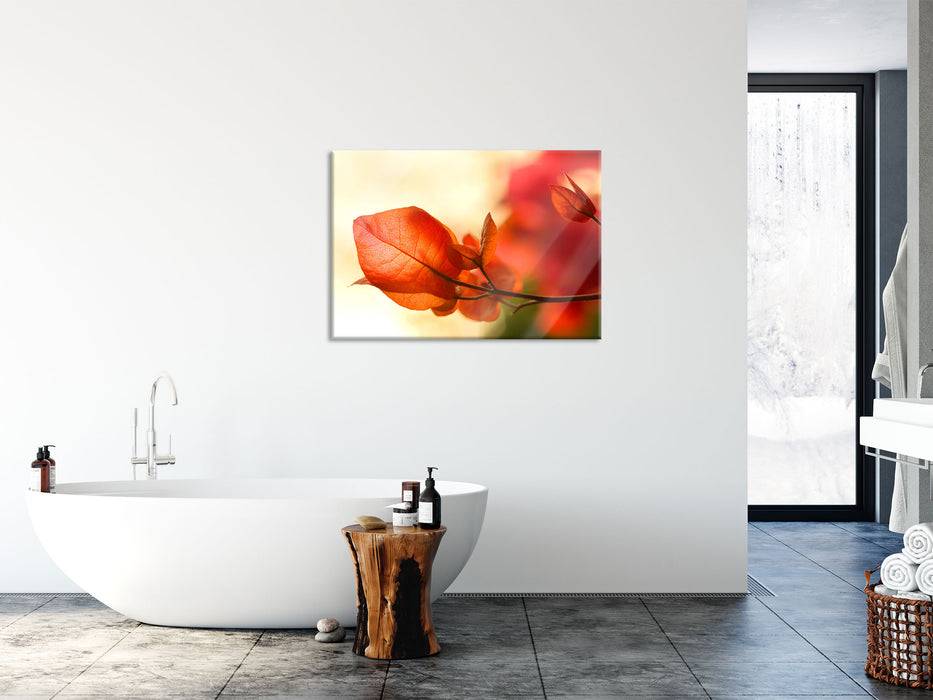 Pixxprint Sonnenstrahlen im Herbst, Glasbild Saisonschlussverkauf