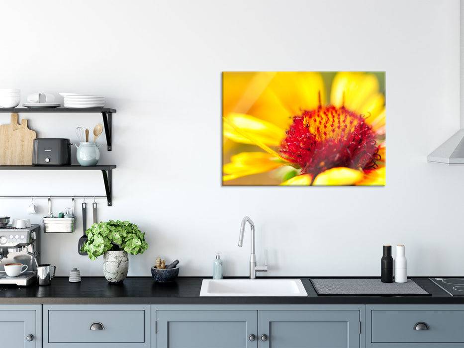 Pixxprint Blüte Nahaufnahme, Glasbild Cyber Monday