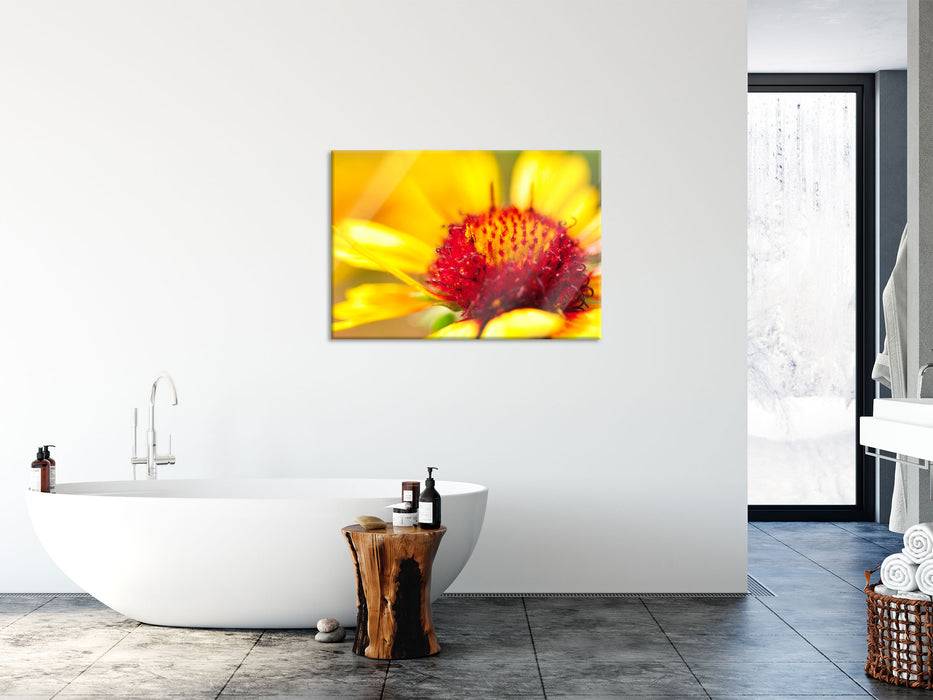 Pixxprint Blüte Nahaufnahme, Glasbild Cyber Monday