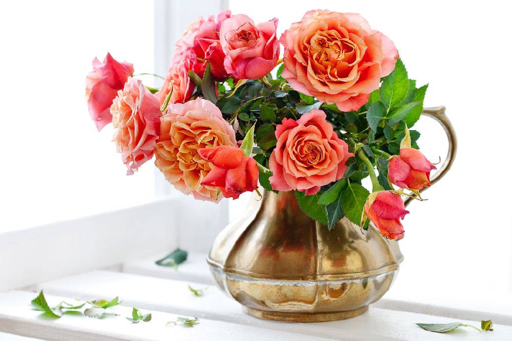 Pixxprint Rosen in Krug, Glasbild Muttertagsangebot