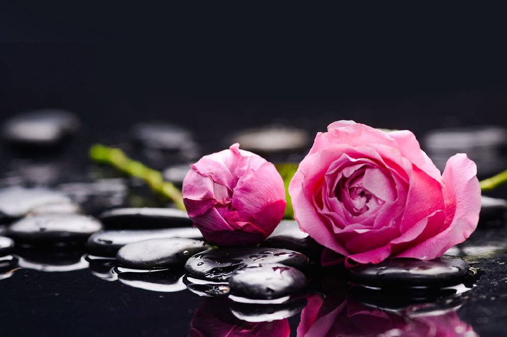 Pixxprint Rosa Rosenblüte Hintergrund, Glasbild Valentinstagsangebot