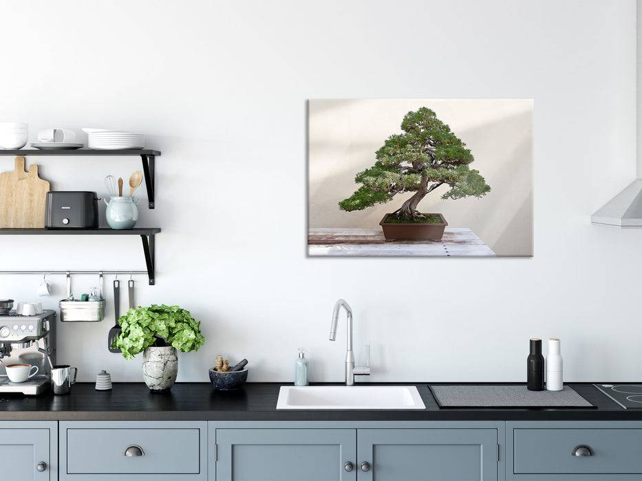 Pixxprint Bonsai Baum, Glasbild Lagerräumung