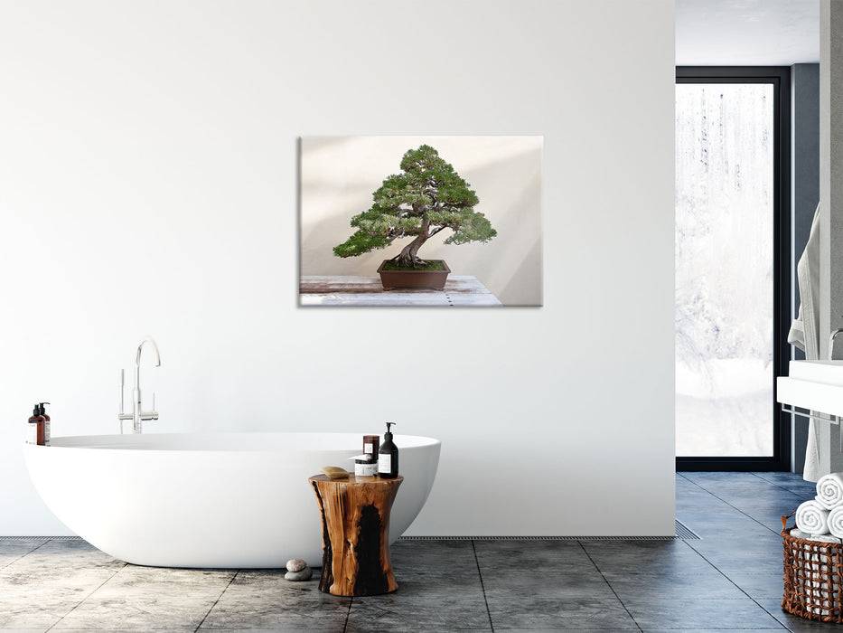 Pixxprint Bonsai Baum, Glasbild Lagerräumung