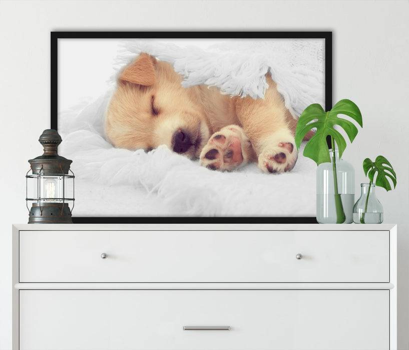 Pixxprint kleiner schlafender Welpe, Poster mit Bilderrahmen Letzter Tag