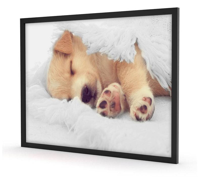 Pixxprint kleiner schlafender Welpe, Poster mit Bilderrahmen Letzter Tag