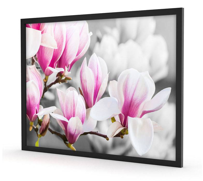 Pixxprint feine rosa farbende Blüte, Poster mit Bilderrahmen Bis zu 50% Rabatt
