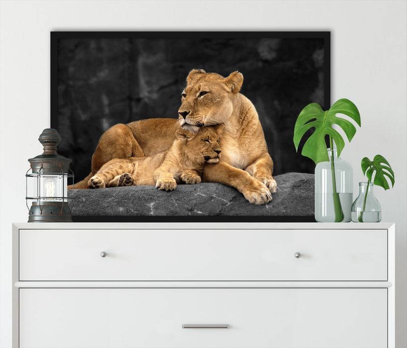Pixxprint Löwe Löwenjungen, Poster mit Bilderrahmen Bis zu 60% Rabatt