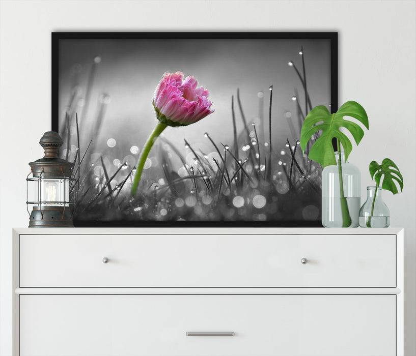 Pixxprint rosa Gänseblümchen im Gras, Poster mit Bilderrahmen Bis zu 65% Rabatt