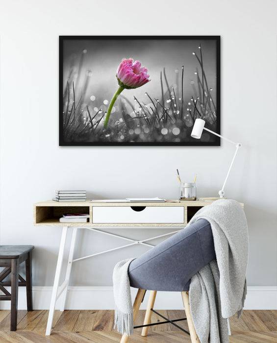 Pixxprint rosa Gänseblümchen im Gras, Poster mit Bilderrahmen Bis zu 65% Rabatt
