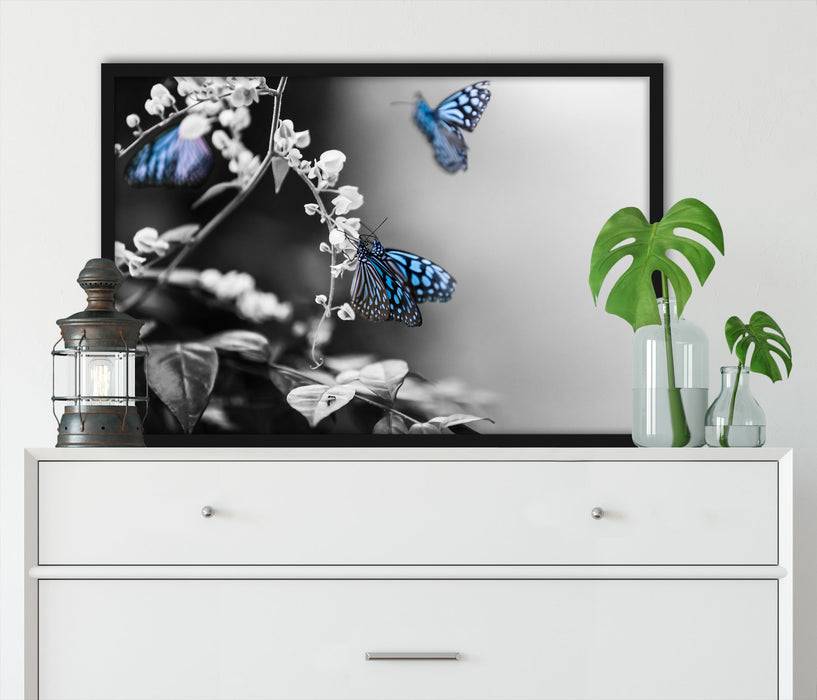 Pixxprint Schmetterlinge auf Blumen, Poster mit Bilderrahmen Vierteljährliche Förderung
