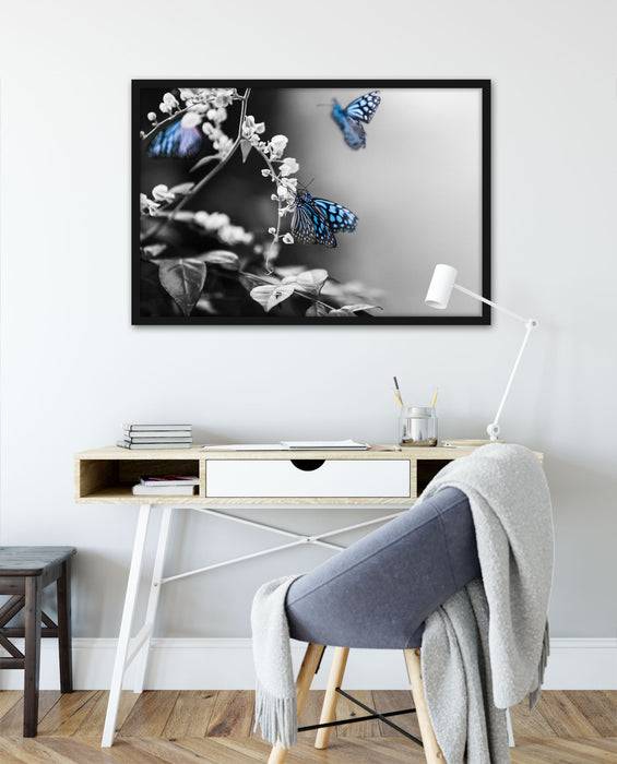Pixxprint Schmetterlinge auf Blumen, Poster mit Bilderrahmen Vierteljährliche Förderung