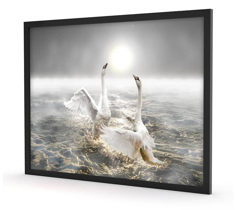 Pixxprint Schwäne im Meer, Poster mit Bilderrahmen Nur noch ein Tag übrig
