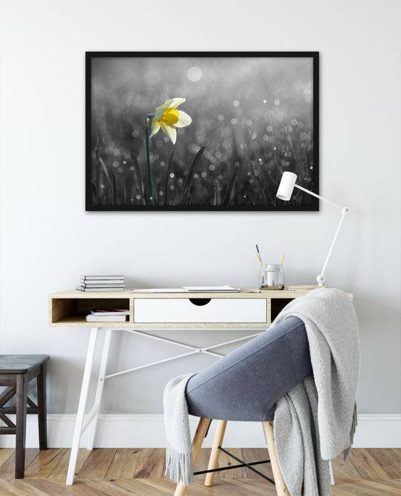 Pixxprint Narzissenblume in der Morgensonne, Poster mit Bilderrahmen Clearance-Verkauf