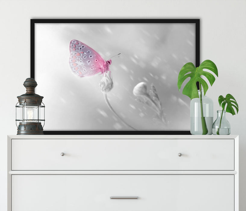 Pixxprint Schmetterling auf Blütenknospen, Poster mit Bilderrahmen Fabrikladen