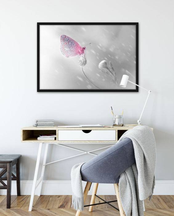 Pixxprint Schmetterling auf Blütenknospen, Poster mit Bilderrahmen Fabrikladen