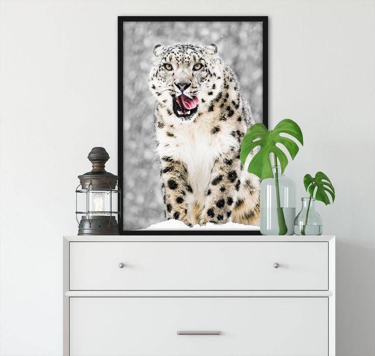 Pixxprint Leopard im Schnee, Poster mit Bilderrahmen Speichern exportieren