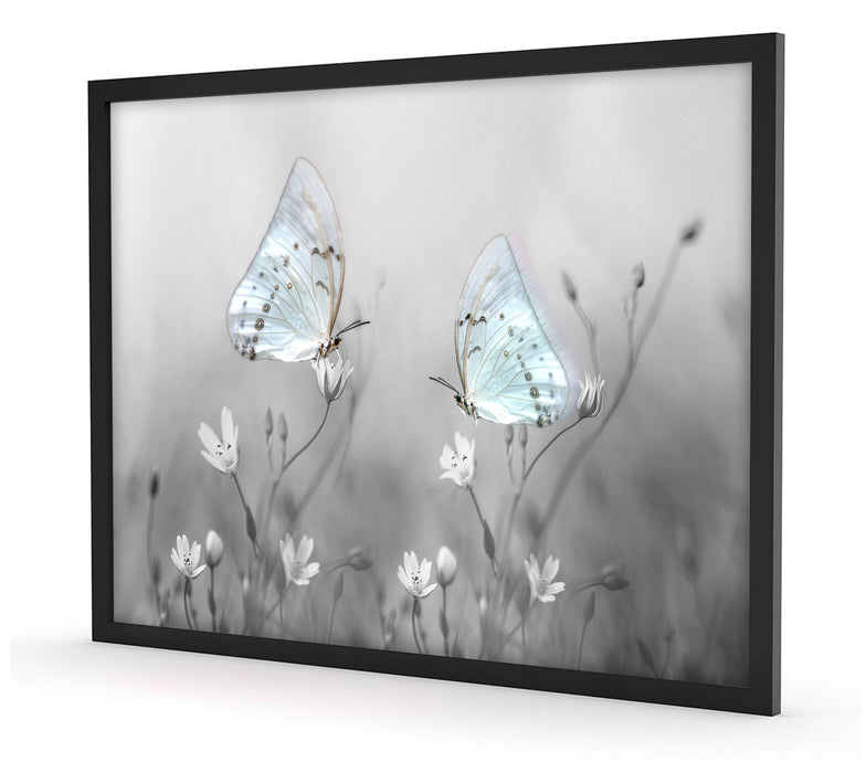 Pixxprint Schmetterling auf kleinen Blumen, Poster mit Bilderrahmen Black Friday Preise