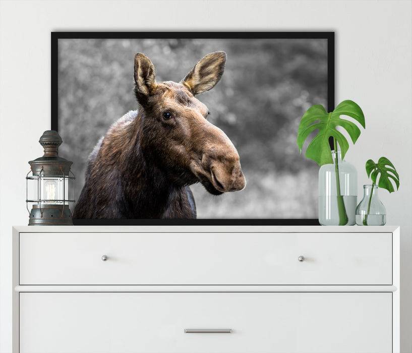 Pixxprint Elch im Wald, Poster mit Bilderrahmen Im Verkauf