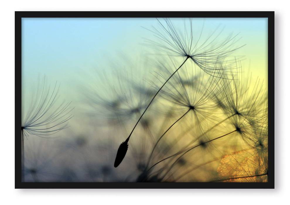Pixxprint Pusteblumen mit Tautropfen, Poster mit Bilderrahmen Online