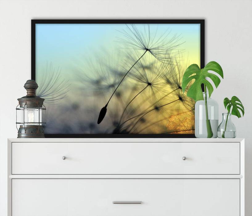 Pixxprint Pusteblumen mit Tautropfen, Poster mit Bilderrahmen Online