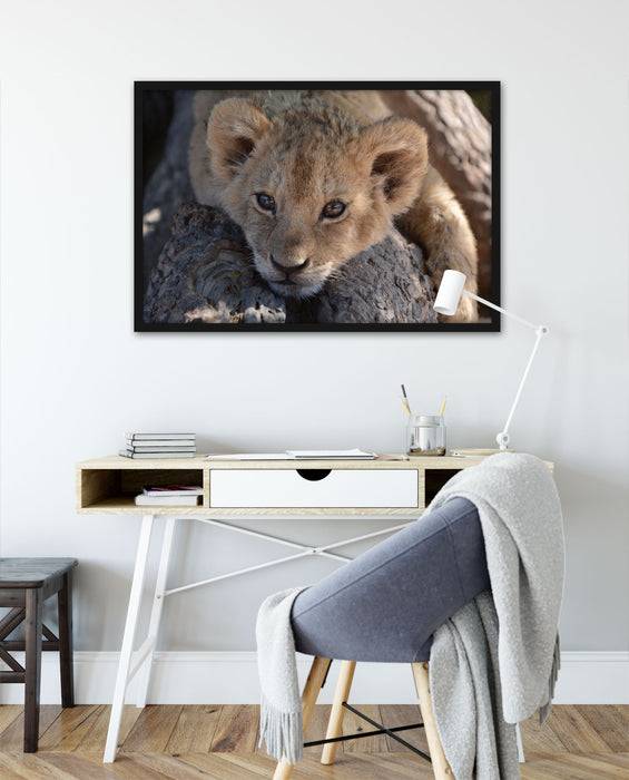 Pixxprint Süßes Löwenbaby, Poster mit Bilderrahmen Outlet