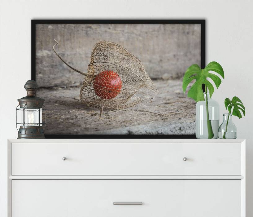 Pixxprint Physalis, Poster mit Bilderrahmen Auslauf