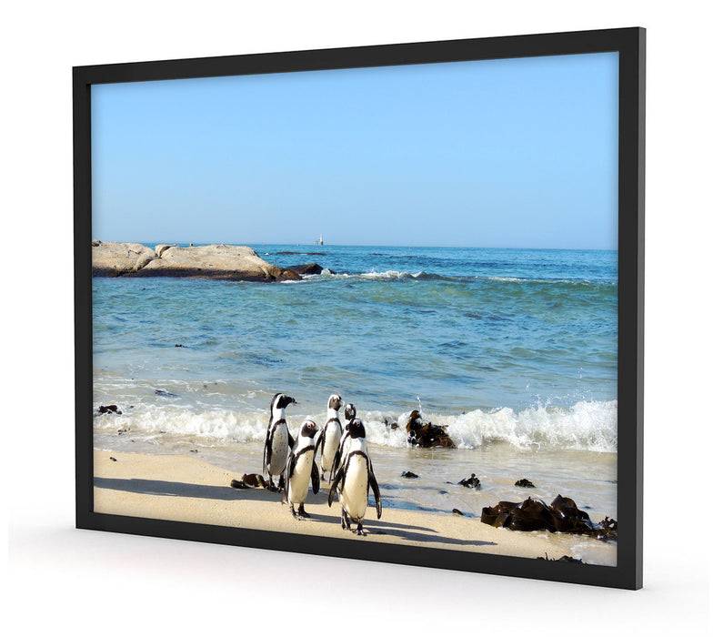 Pixxprint Pinguine am Strand, Poster mit Bilderrahmen Verkauf