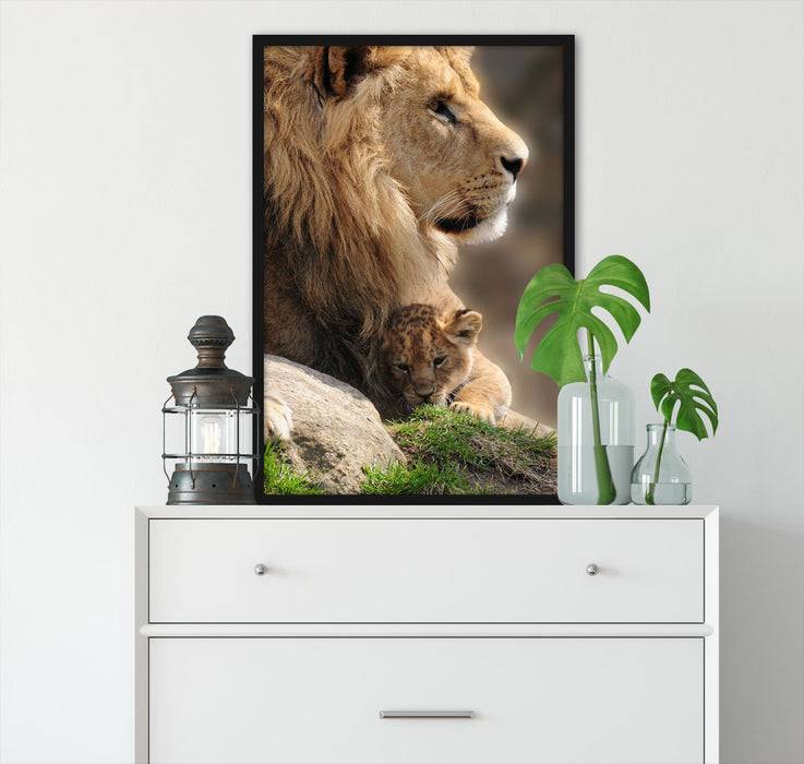Pixxprint Löwe mit Löwenbaby, Poster mit Bilderrahmen Fabrikverkauf