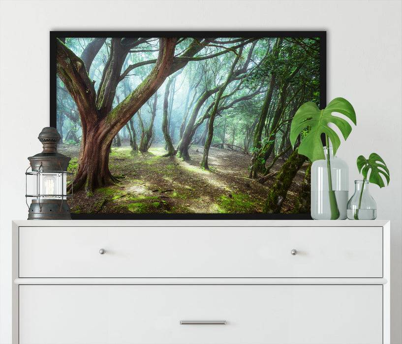Pixxprint Wald, Poster mit Bilderrahmen Limitierter Zeitrabatt