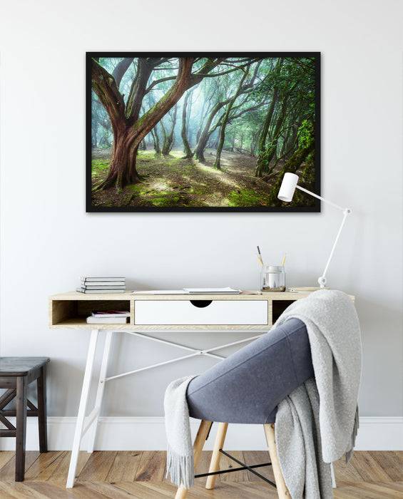 Pixxprint Wald, Poster mit Bilderrahmen Limitierter Zeitrabatt