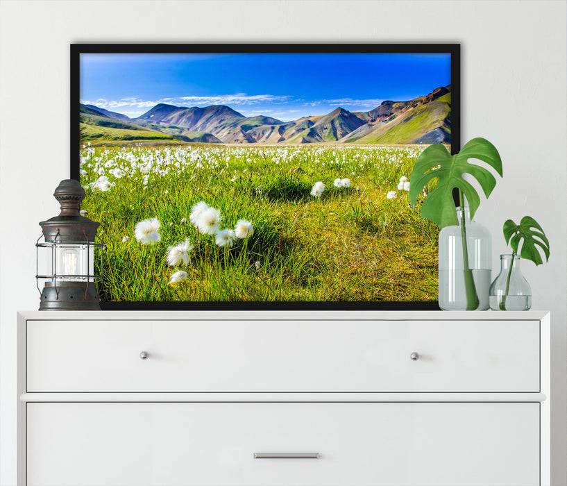 Pixxprint Alpenwiese, Poster mit Bilderrahmen Versandkostenfrei