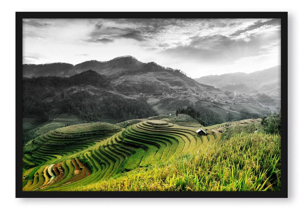 Pixxprint Reisfelder in Vietnam, Poster mit Bilderrahmen