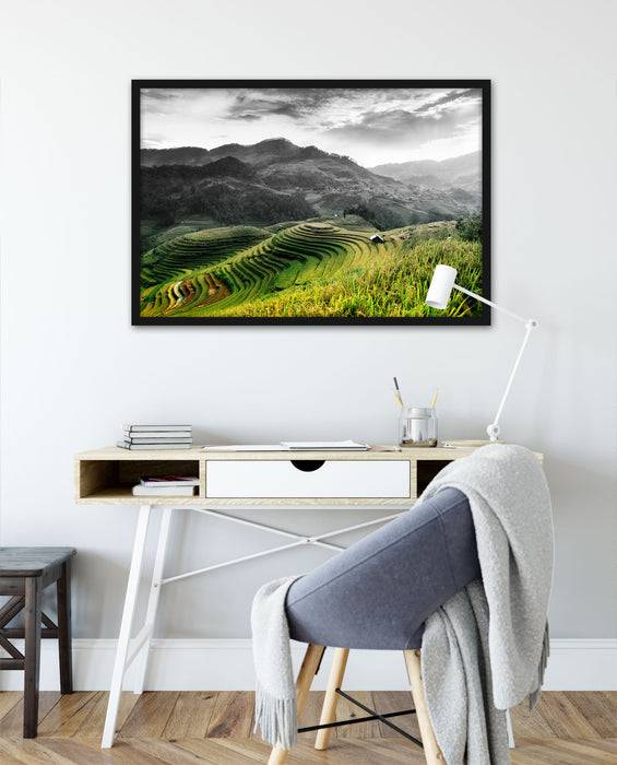 Pixxprint Reisfelder in Vietnam, Poster mit Bilderrahmen Begrenztes Angebot