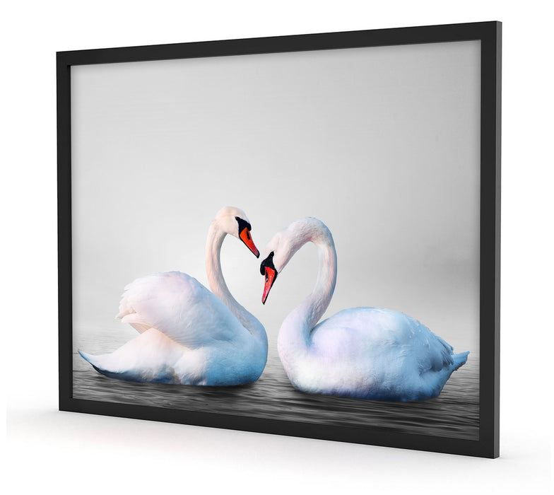 Pixxprint Schwäne auf dem Wasser, Poster mit Bilderrahmen Cyber Monday