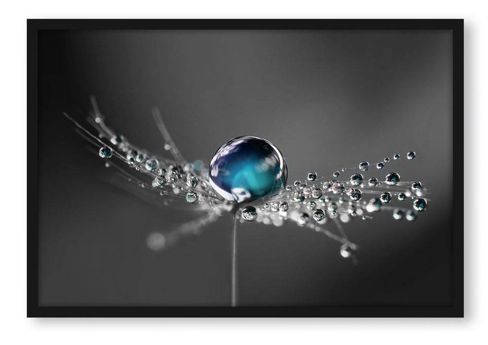 Pixxprint Wassertropfen auf einer Pusteblume, Poster mit Bilderrahmen Weihnachtsangebot