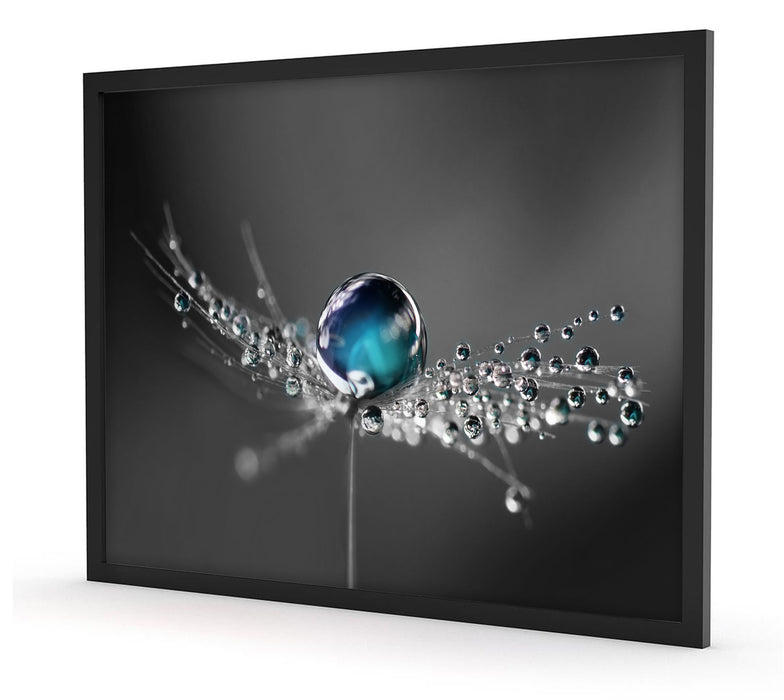 Pixxprint Wassertropfen auf einer Pusteblume, Poster mit Bilderrahmen Weihnachtsangebot